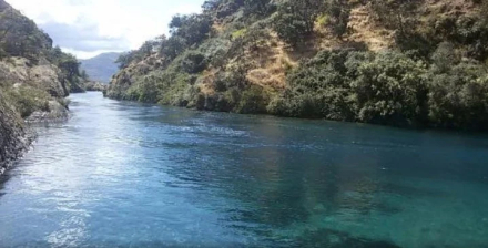 lago2.jpg