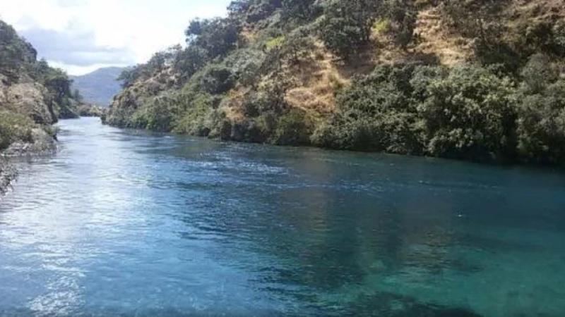 Descubrieron que Argentina y Chile comparten uno de los lagos más transparentes del mundo