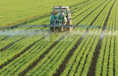 “Para reducir la exposición a tóxicos es necesario abandonar la agricultura industrial”