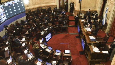 El Senado aprobó ley que posterga las elecciones y la de modificación de Ganancias