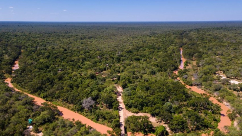 Forestales y tanineros esperan por el nuevo ordenamiento territorial