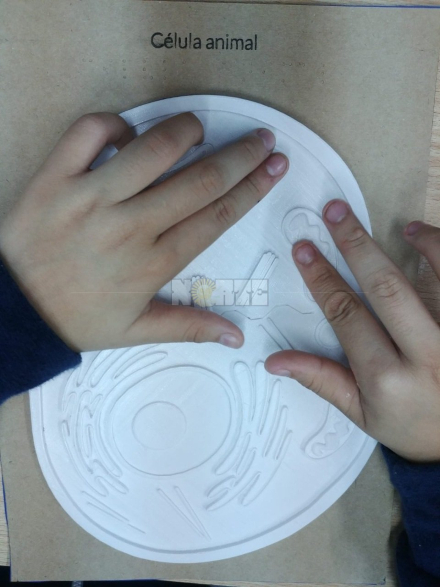 braille nene.jpg