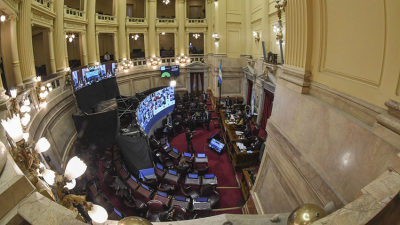 El Senado convirtió en ley el cupo laboral travesti trans