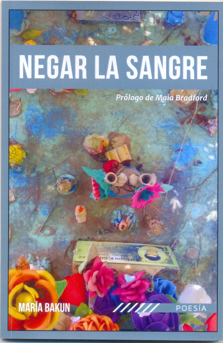 Negar la sangre - Tapa.jpg