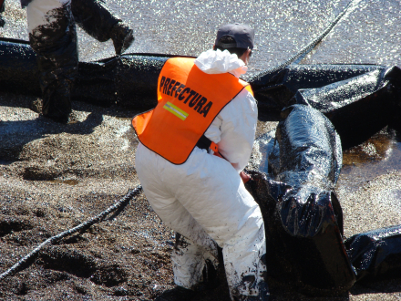 Proteccion ambiental 2.JPG