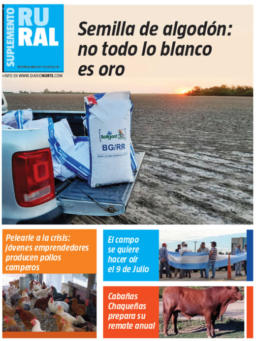 Semilla de algodón: no todo lo blanco es oro