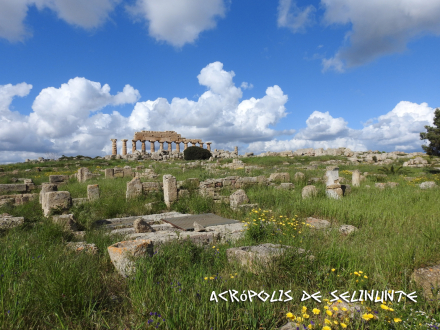 ACRÓPOLIS DE SELINUNTE.jpg