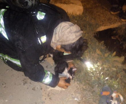 rescate.jpg