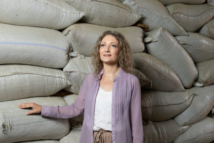 yerba2.jpg