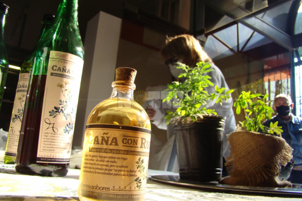Caña con ruda, la otra vacuna, para "curar los males de invierno"