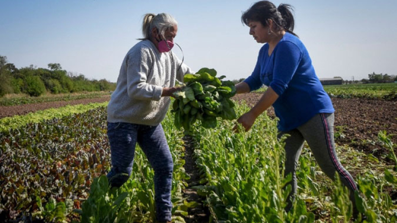 “Se naturaliza que el trabajo reproductivo no sea pago”
