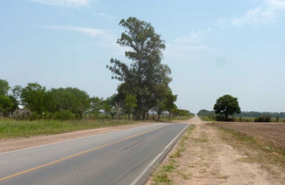 Gran expectativa por conocer las ofertas para pavimentar la ruta 6
