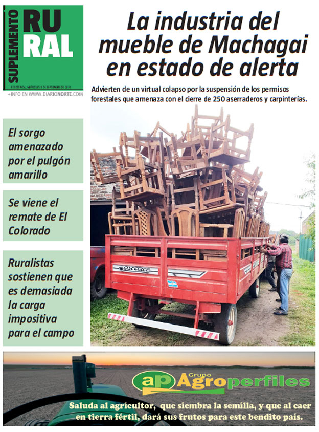 La industria del mueble de Machagai en estado de alerta