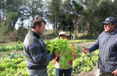 Lanzan créditos para la agricultura familiar por $500 millones