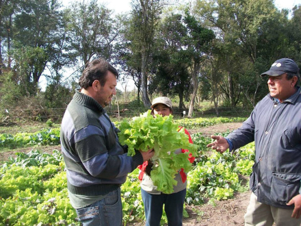 agricultura.jpg