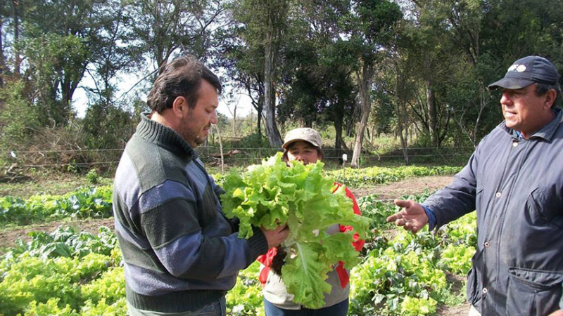 Lanzan créditos para la agricultura familiar por $500 millones