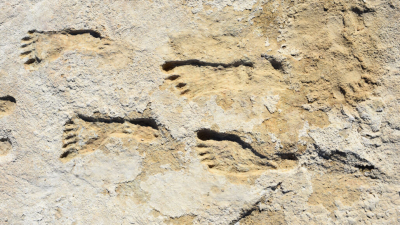 Huellas de 23000 años reescriben la historia humana de América del Norte