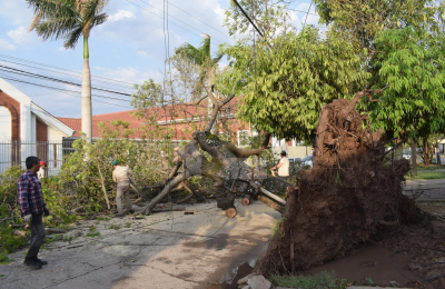Temporal de viento causó inconvenientes en Sáenz Peña