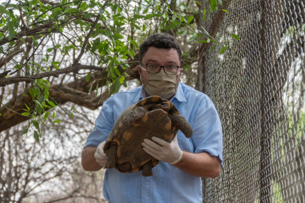 tortu2.jpg