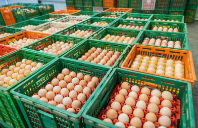 Granja Tres Arroyos trabaja en la reactivación de su planta de incubación