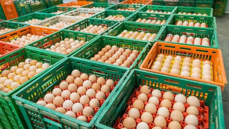Granja Tres Arroyos trabaja en la reactivación de su planta de incubación