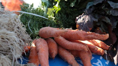 Hoy empieza la 4° Expo frutihortícola del Chaco 2021