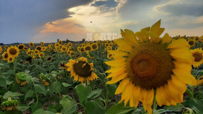 El sudoeste espera por lluvias