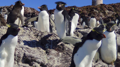 La maravillosa biodiversidad argentina en una isla jurásica
