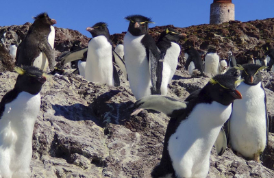 La maravillosa biodiversidad argentina en una isla jurásica