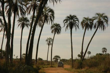 parque nacional08.jpg