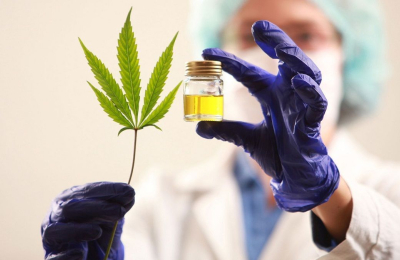 Chaco será sede, por primera vez, de la Expo Industria Cannabis y Cáñamo
