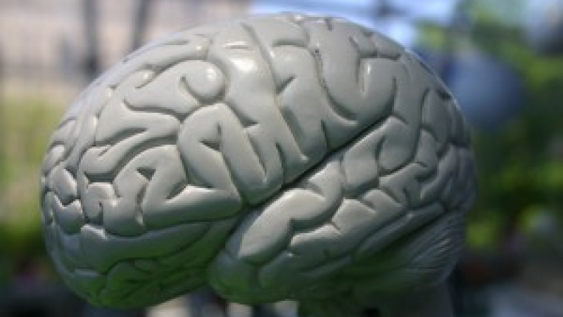 ¿Cómo entrenar el cerebro para ser feliz?