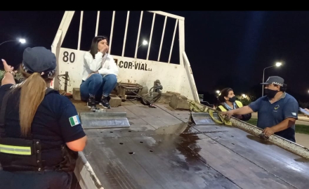 conductora rebelde 1.jfif