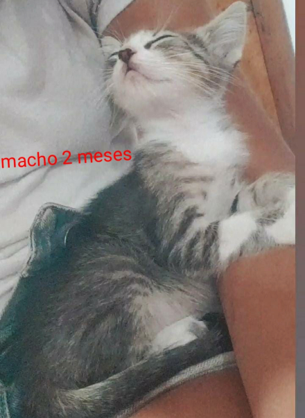 28.jpg