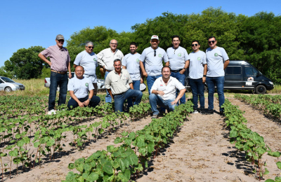 Productores colombianos y argentinos unidos por una misma pasión: el algodón