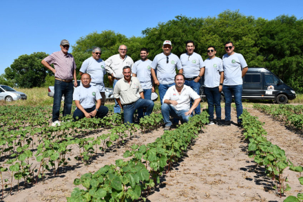 Productores-colombianos.jpg