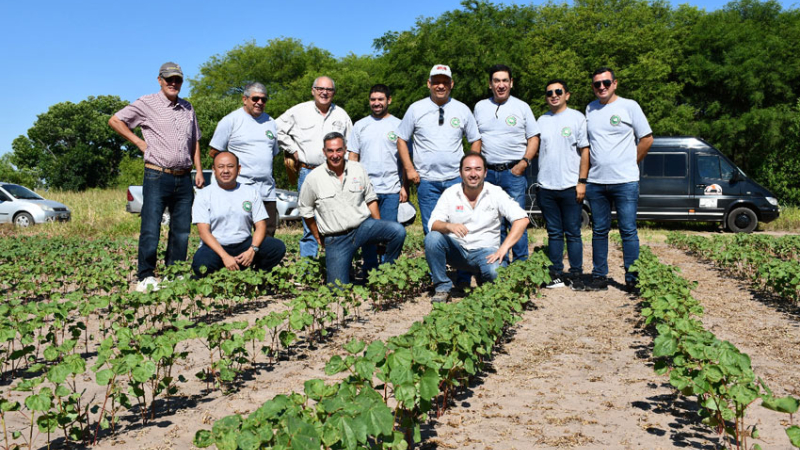 Productores colombianos y argentinos unidos por una misma pasión: el algodón
