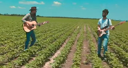 country.jpg