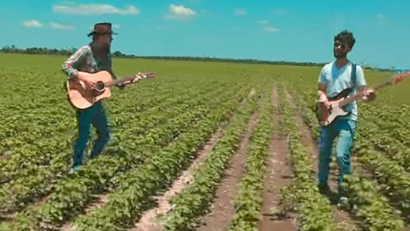 De los algodonales chaqueños, nace una canción de Nochebuena