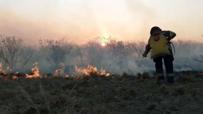 Un hombre murió quemado intentando apagar el fuego en su campo