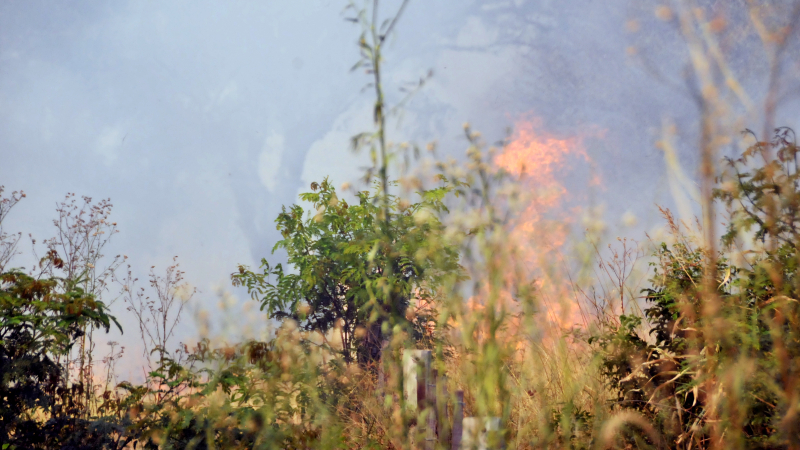 Incendios: crece el compromiso con la prevención, mientras Chaco sigue en "peligro extremo"