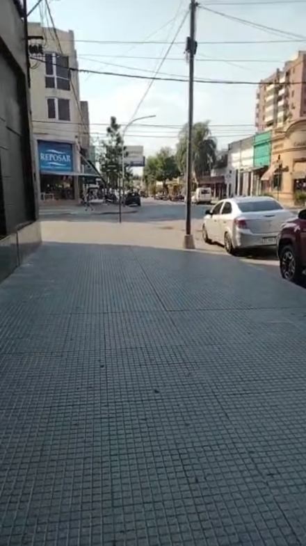 sin arboles 1.png