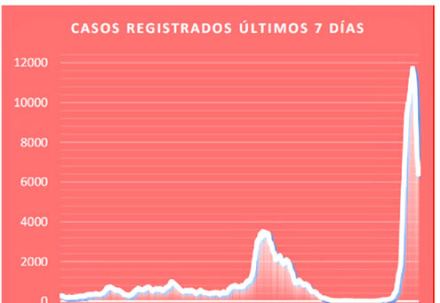 grafico 1.jpg