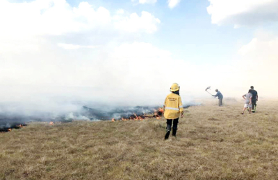 En el NEA se habrían quemado más de 360.000 hectáreas