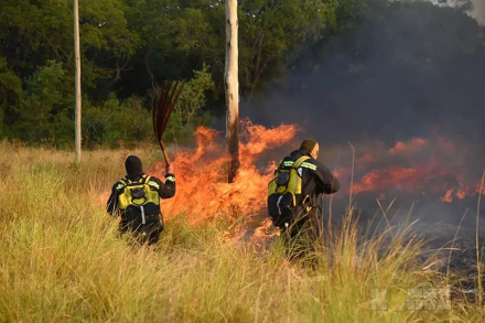 fuego2.jpg