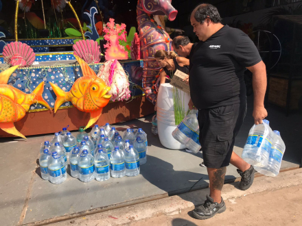 carnaval donacion 3.jfif
