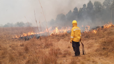 Dolor e impotencia: las vivencias de un bombero voluntario que combatió incendios en Corrientes 
