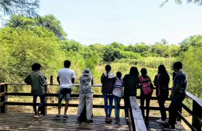Paraje Nueva Población: una prueba de amor, adoración y respeto