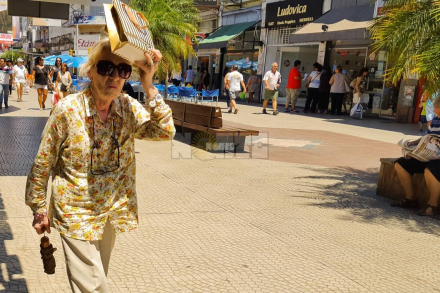 señora peatonal.JPG