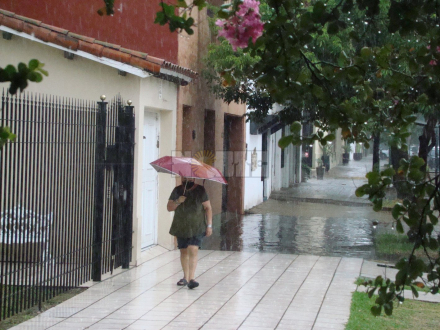 lluvia marzo 1.JPG